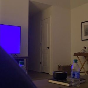 Meet your Posher, Beau